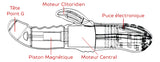 COLOSSO - Vibrateur point-G à mouvement et stim clitoridien