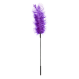 Chatouilleur en plumes d'autruche - Ostrich Tickler - Rouge, Violet, Noir