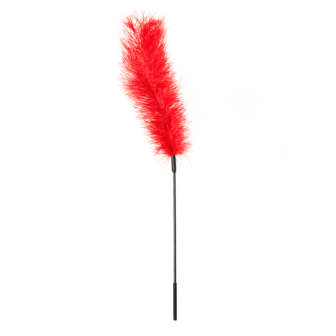 Chatouilleur en plumes d'autruche - Ostrich Tickler - Rouge, Violet, Noir