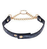 Collier de jour - Cougar - Day Collar